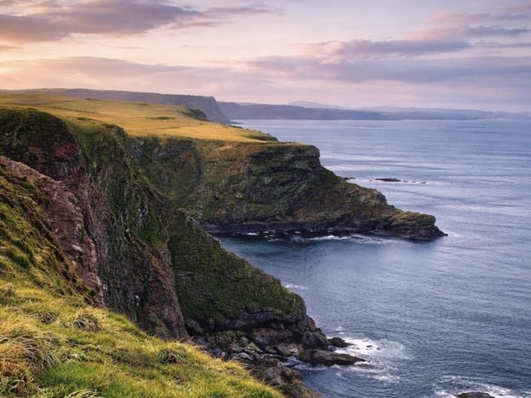 RSPB Scotland Troup Head